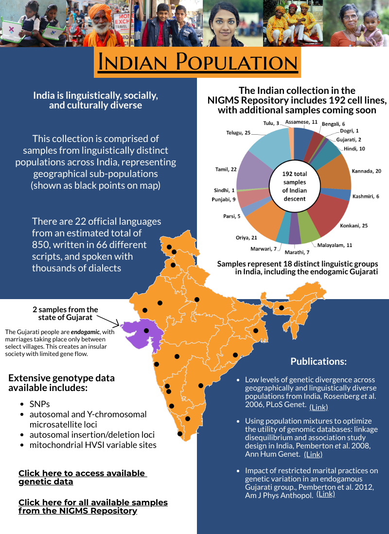Indian Population